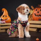Cute Halloween Costume for Medium Pets