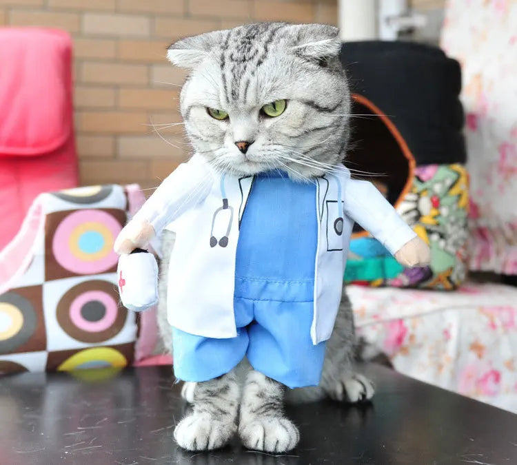 Cute Halloween Costumes for Pets by Zoomies & Co