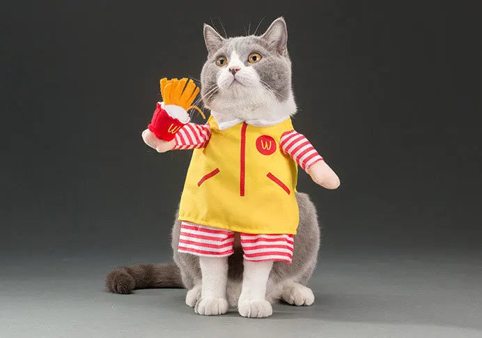 Cute Halloween Costumes for Pets by Zoomies & Co