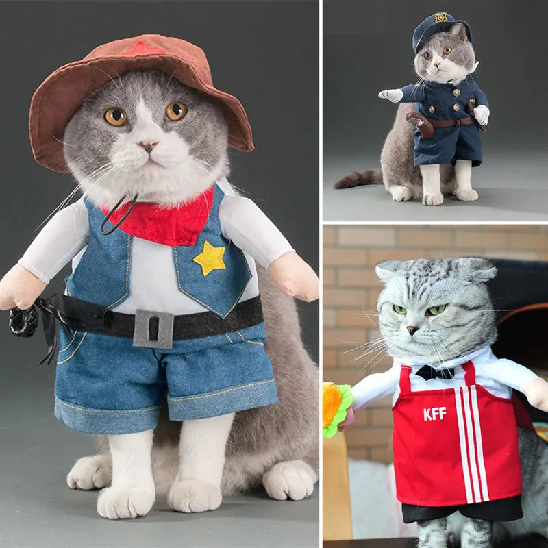 Cute Halloween Costumes for Pets by Zoomies & Co