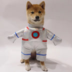 Cute Halloween Costumes for Pets by Zoomies & Co