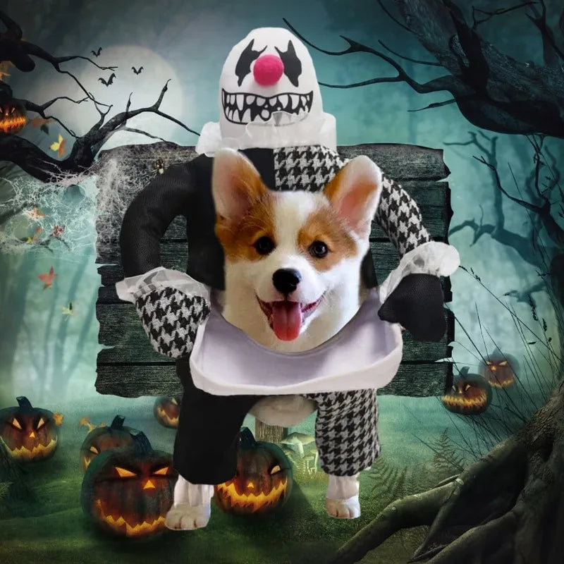 Dog Halloween Costume for Pets