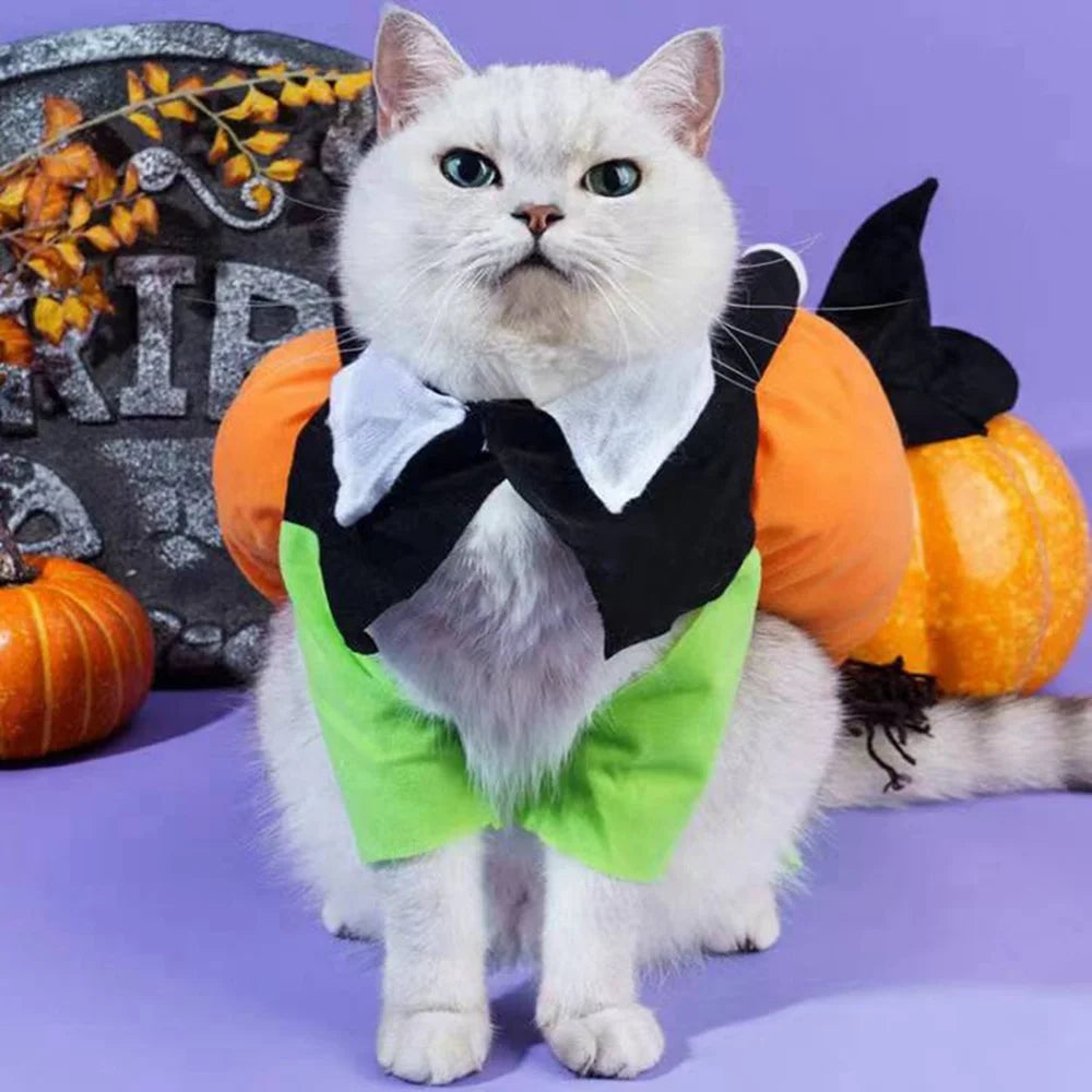 Dog and Cat Halloween Costume Set for Pets