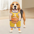 Dog Basketball Player Costume for Pets