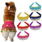 Dog Belly Dance Costume with Charming Details