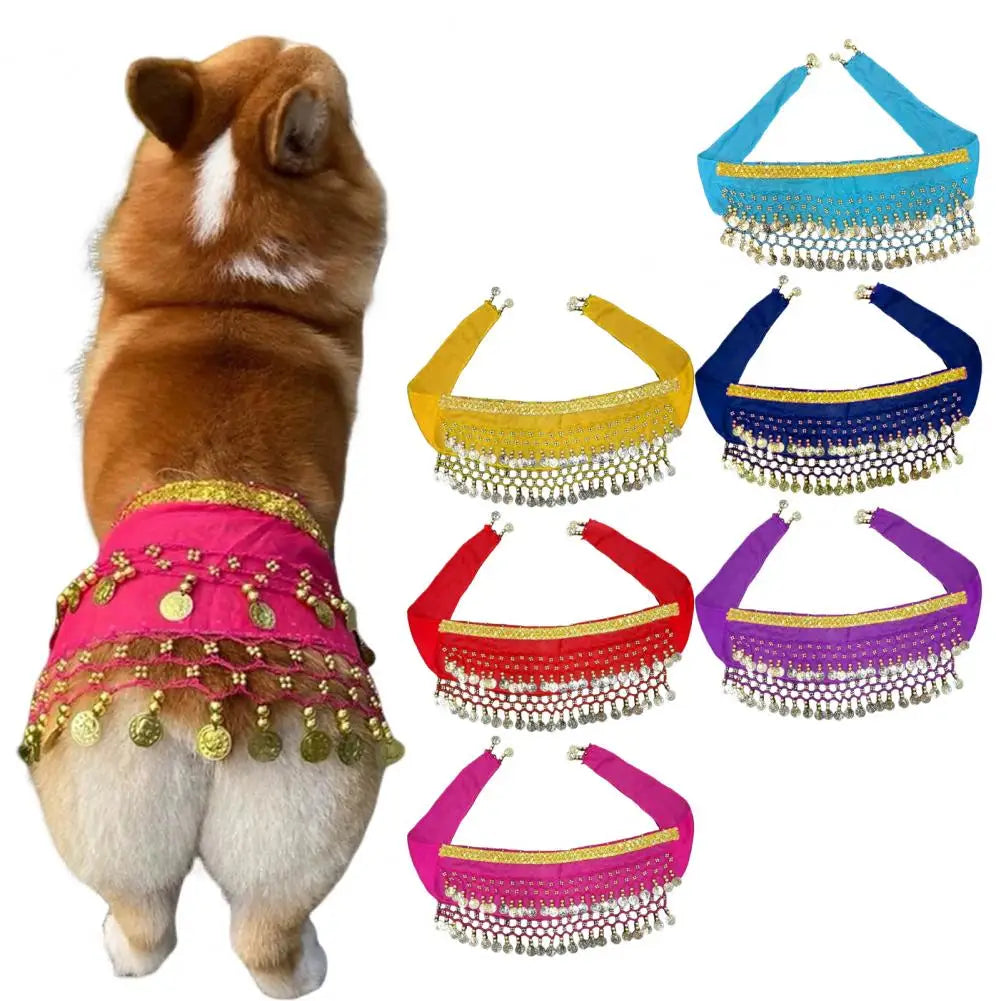 Dog Belly Dance Costume with Charming Details
