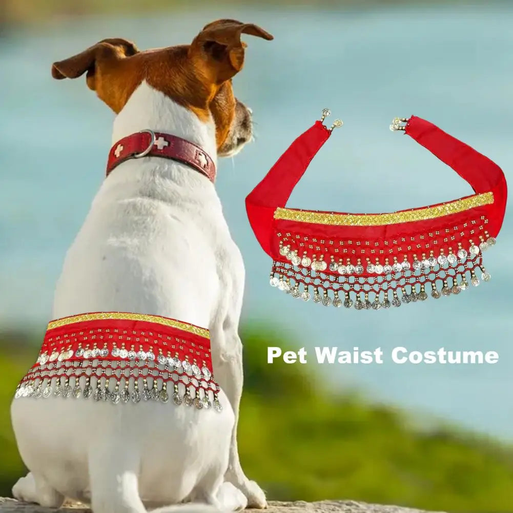 Dog Belly Dance Costume with Charming Details