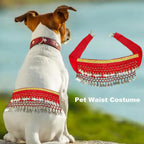 Dog Belly Dance Costume with Charming Details