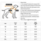 Elegant Dog Wedding Dress with Lace Detail