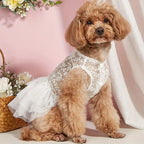 Elegant Dog Wedding Dress with Lace Detail