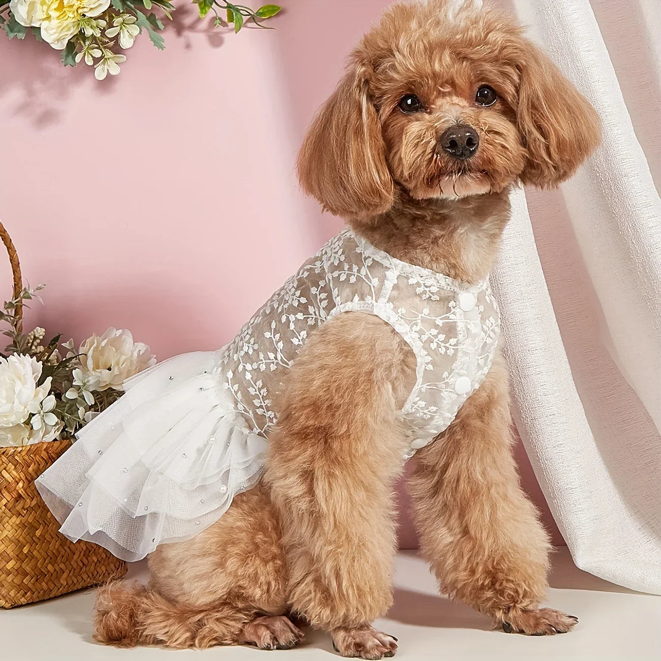 Elegant Dog Wedding Dress with Lace Detail