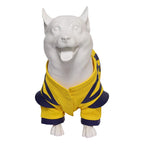 Dogpool and Wolverine Pet Costumes
