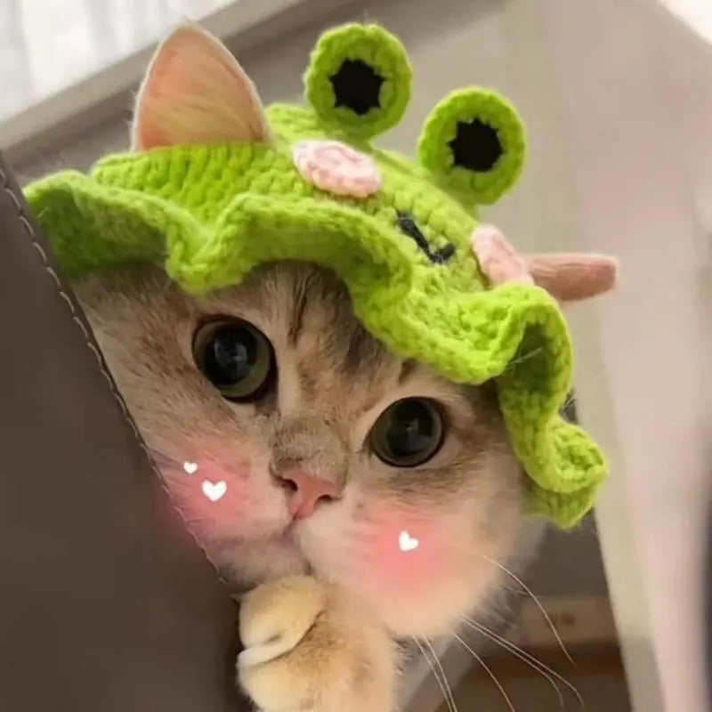 Cute Style Pet Costume Hat