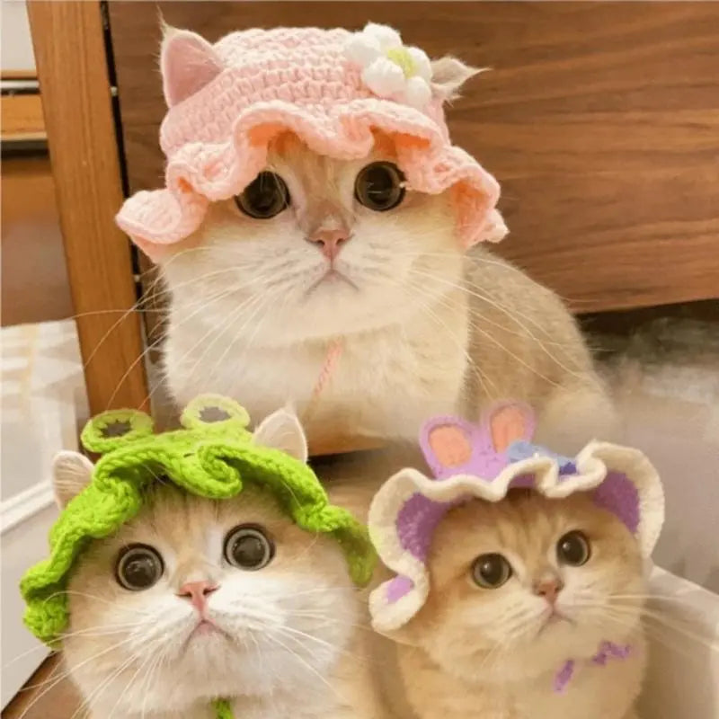 Cute Style Pet Costume Hat