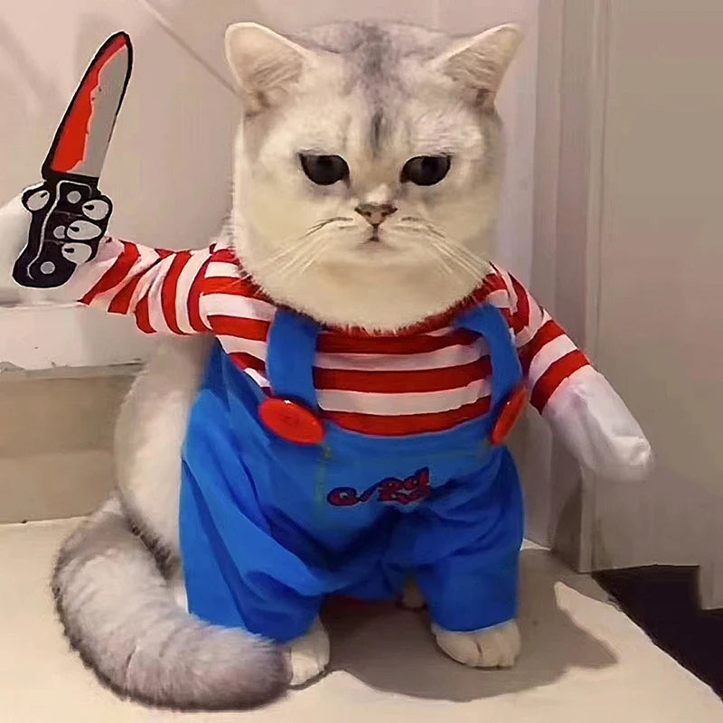Chucky Halloween Costume for your Chubby Catto