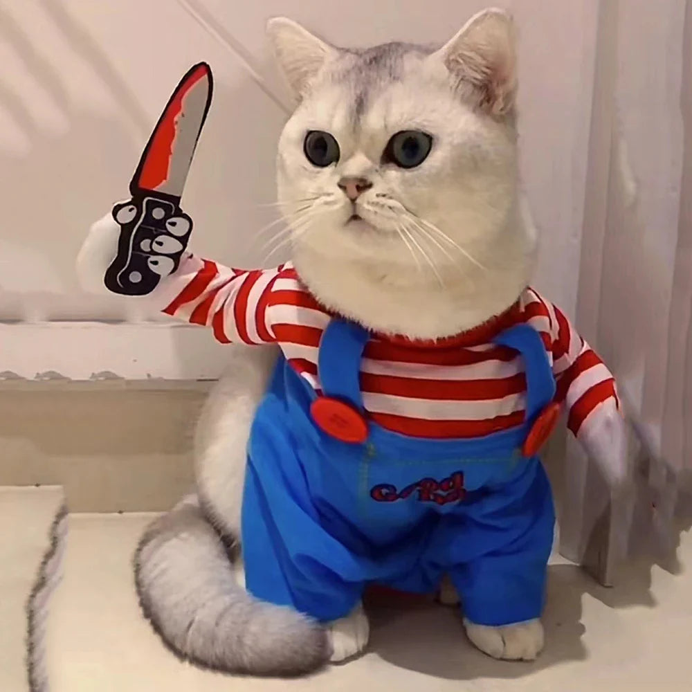 Chucky Halloween Costume for your Chubby Catto