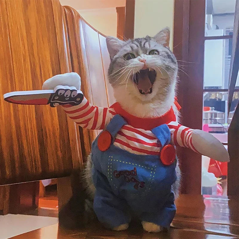 Chucky Halloween Costume for your Chubby Catto