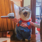 Chucky Halloween Costume for your Chubby Catto