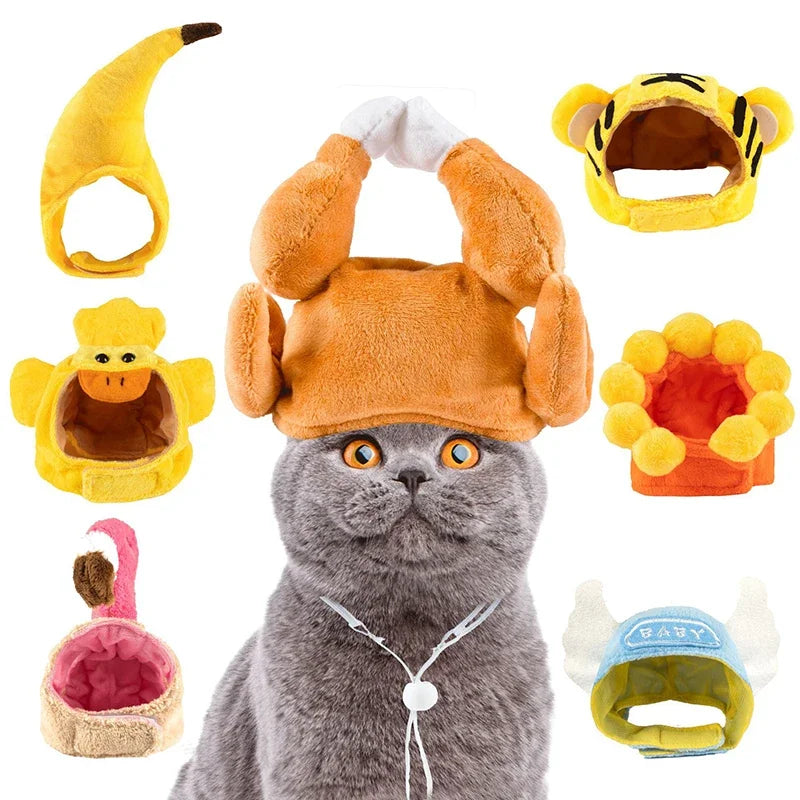 Funny Cat Hats for Costumes by Zoomies & Co