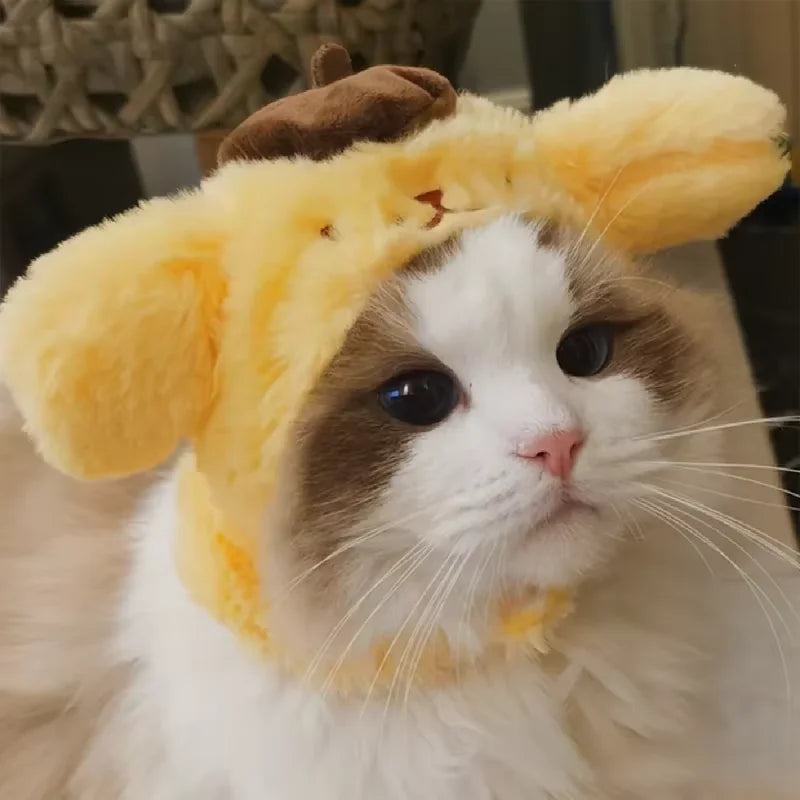 Funny Cat Hats for Costumes by Zoomies & Co