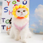 Funny Cat Hats for Costumes by Zoomies & Co