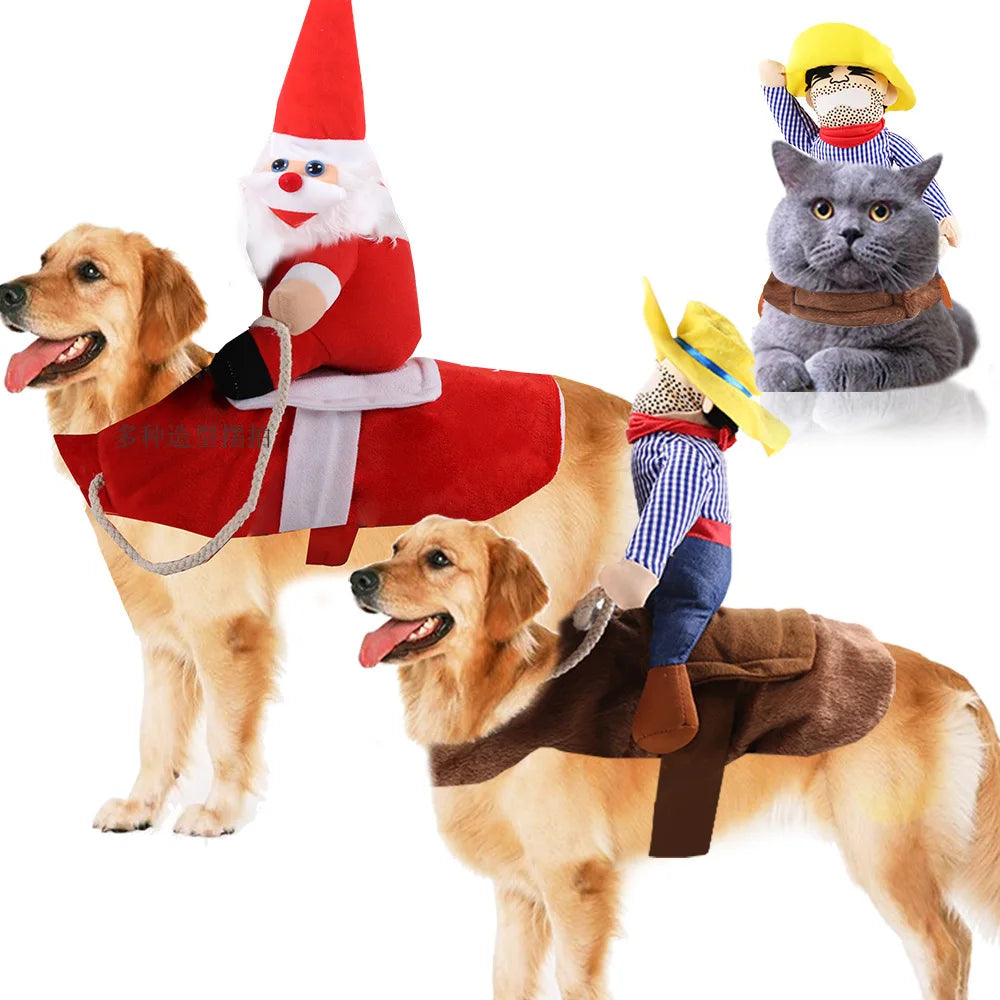 Funny Dog Costumes for Halloween