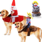 Funny Dog Costumes for Halloween