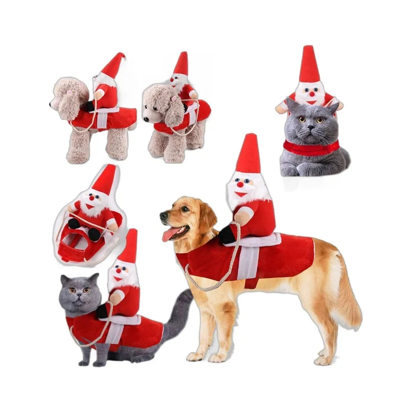 Funny Dog Costumes for Halloween