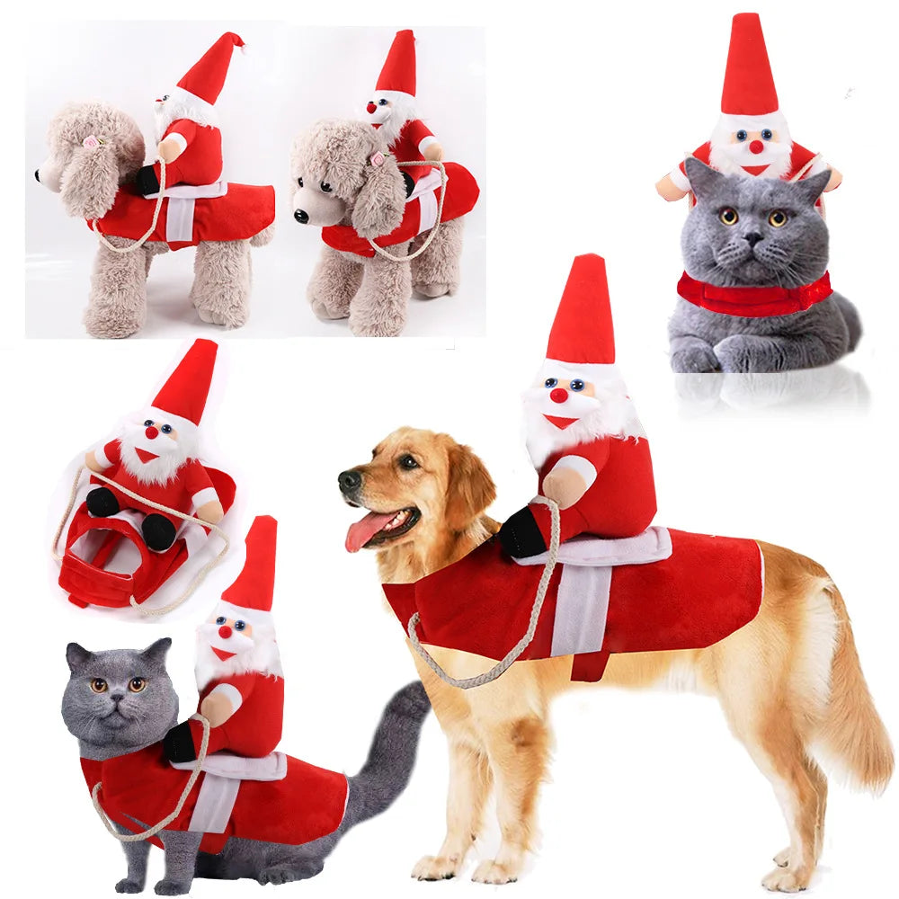 Funny Dog Costumes for Halloween