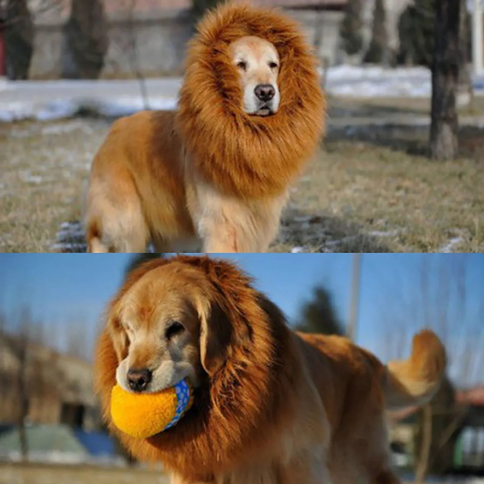 Lion Mane Costume for Cats and Dogs