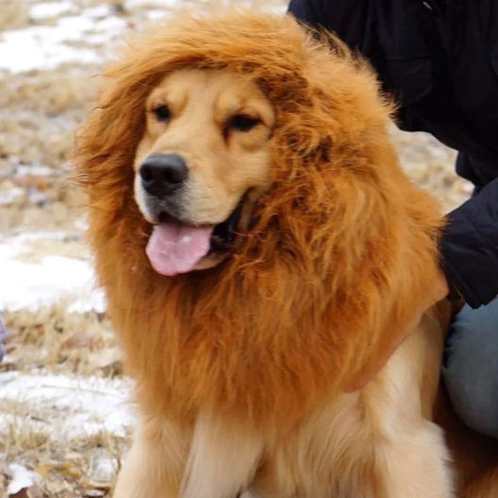 Lion Mane Costume for Cats and Dogs