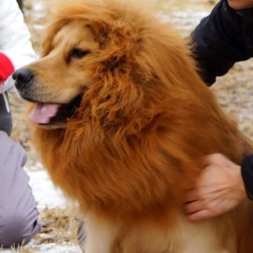 Lion Mane Costume for Cats and Dogs