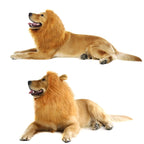 Lion Mane Costume for Cats and Dogs