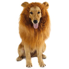 Lion Mane Costume for Cats and Dogs