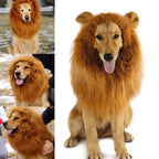 Lion Mane Costume for Cats and Dogs
