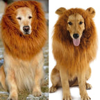 Lion Mane Costume for Cats and Dogs