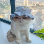 Funny Pet Hats for Cats and Dogs Collection