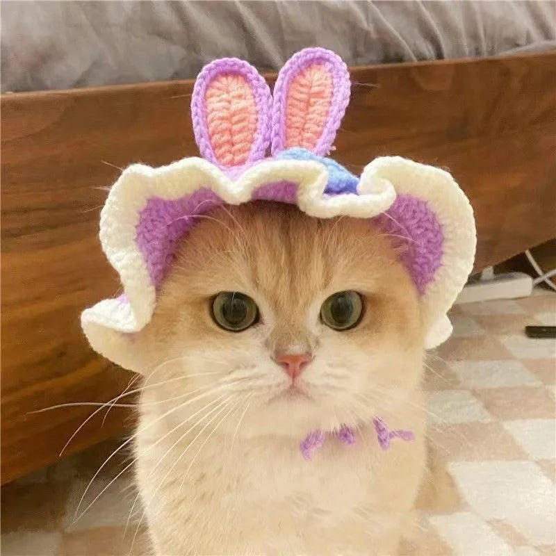 Funny Pet Hats for Cats and Dogs Collection