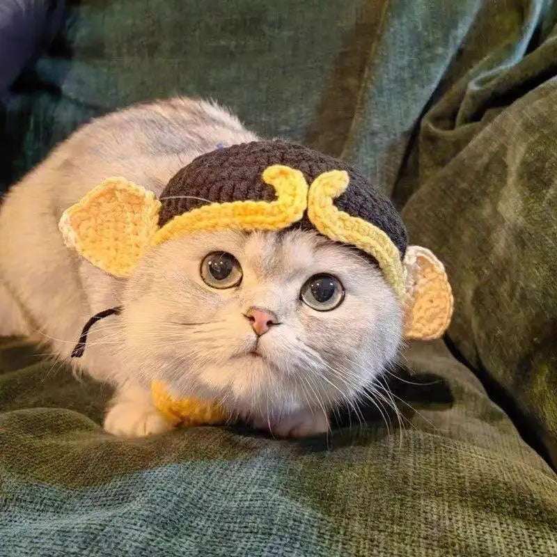 Funny Pet Hats for Cats and Dogs Collection