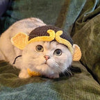 Funny Pet Hats for Cats and Dogs Collection