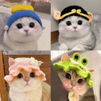 Funny Pet Hats for Cats and Dogs Collection