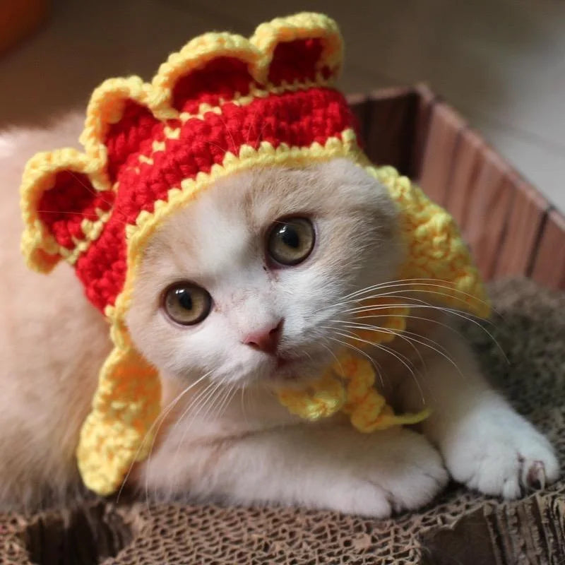 Funny Pet Hats for Cats and Dogs Collection