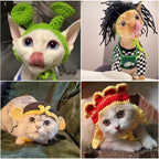 Funny Pet Hats for Cats and Dogs Collection