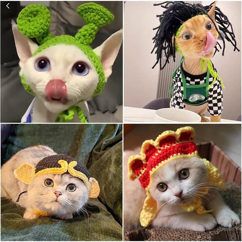 Funny Pet Hats for Cats and Dogs Collection