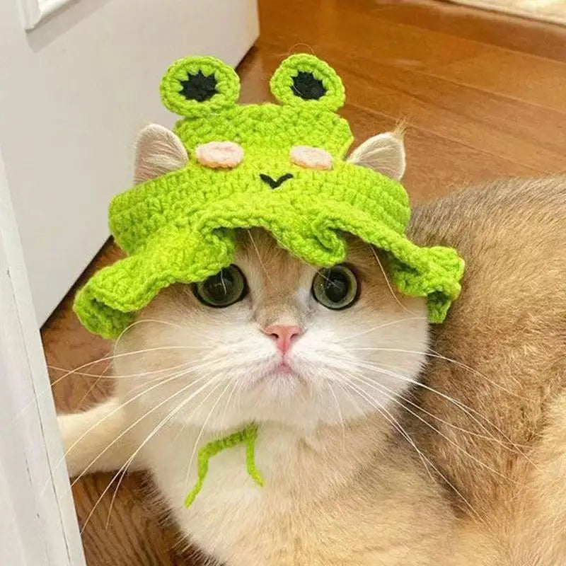 Funny Pet Hats for Cats and Dogs Collection