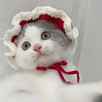 Funny Pet Hats for Cats and Dogs Collection
