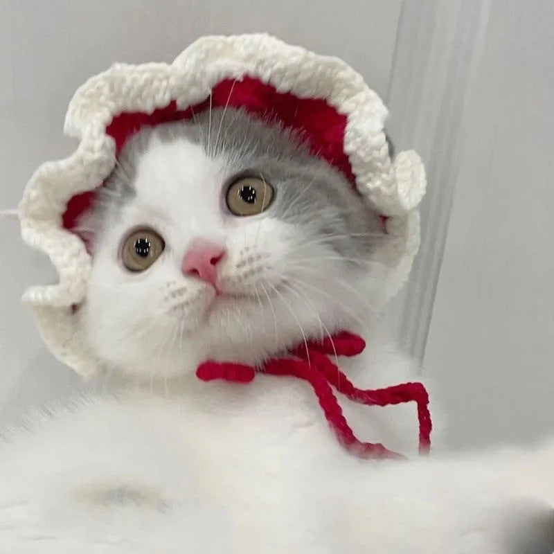 Funny Pet Hats for Cats and Dogs Collection