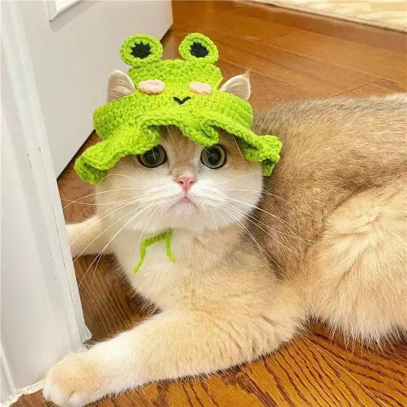 Funny Pet Hats for Cats and Dogs Collection