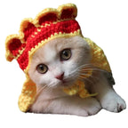 Funny Pet Hats for Cats and Dogs Collection