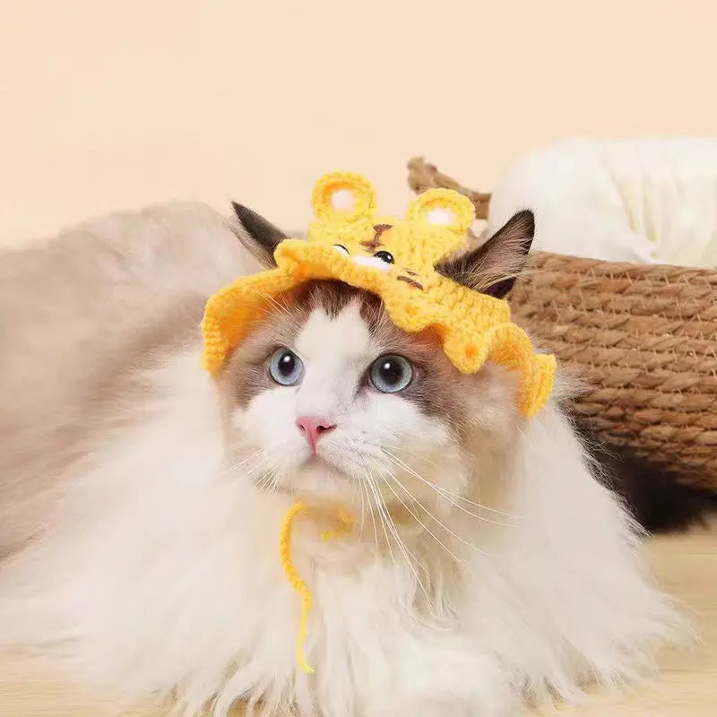 Funny Pet Hats for Cats and Dogs Collection